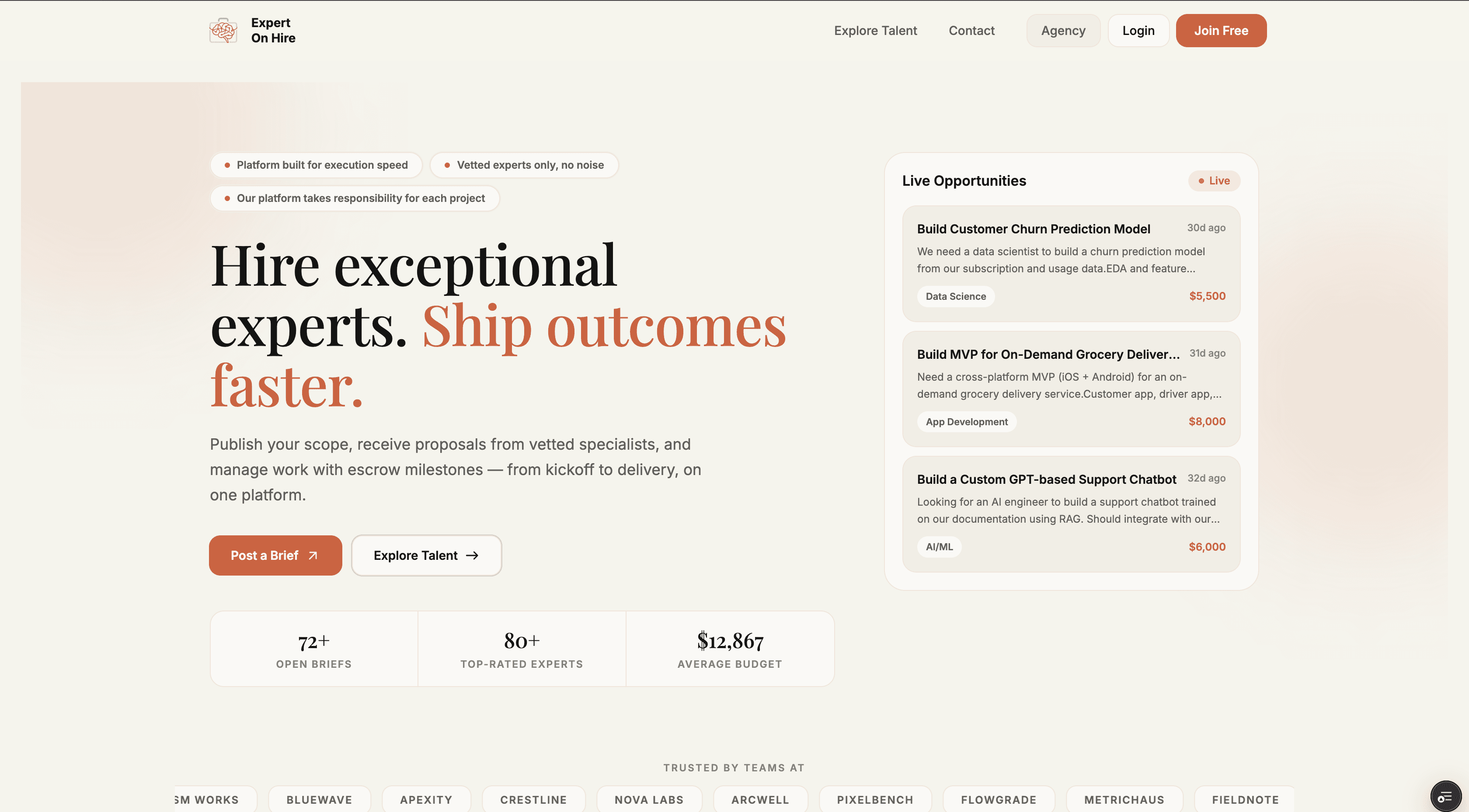 Image-ExpertOnHire-1